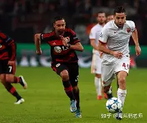 欧篮联倒计时；罗马赛后伤情更新；细节引发关注；赛场秩序良好；更衣室氛围转暖